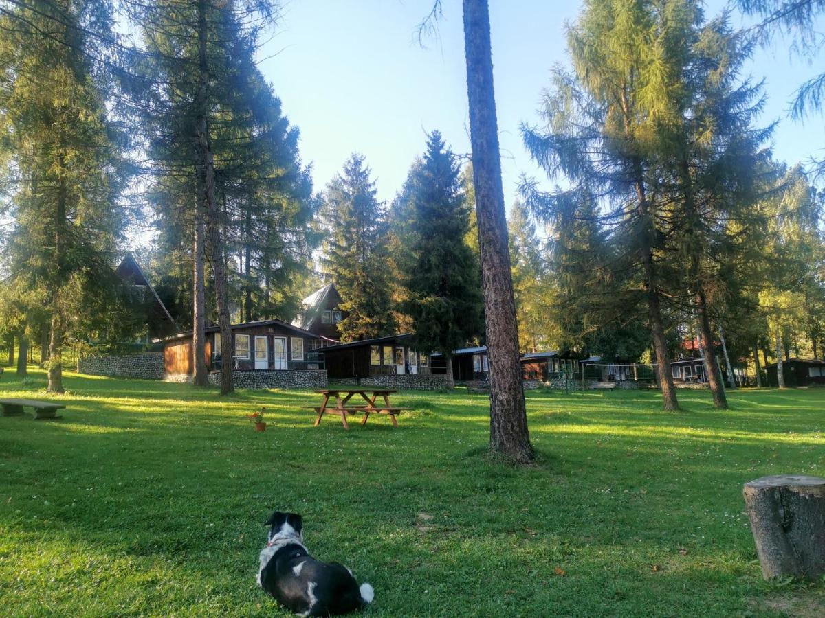 Osrodek Wypoczynkowy U Dobrego Ducha * Niedzica-Zamek